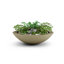 Jardinière en béton peu profond Oceanside-935299279-935299313