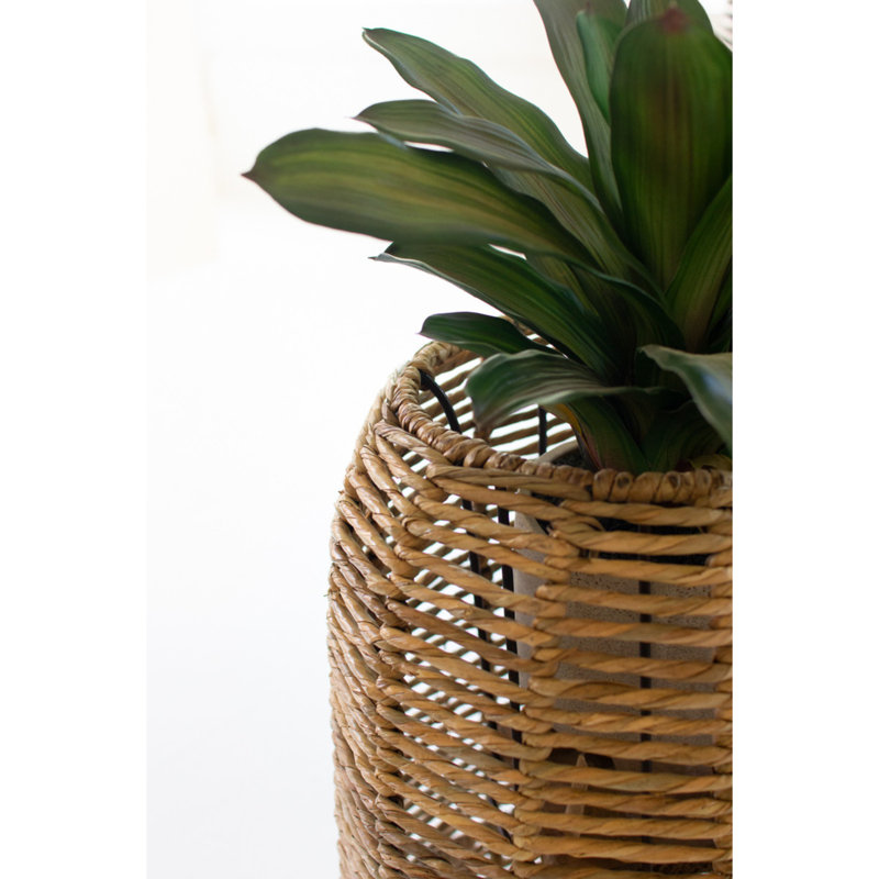 Handmade Tall Woven Seagrass Barrel Planters Set