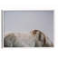 Graze Print-1466524696