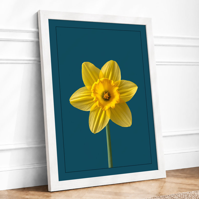 Golden Daffodil Botanical - Framed Print, A4 - 29.7 x 21.0 cm, White