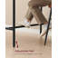 Alceste Dining Set-1064011330