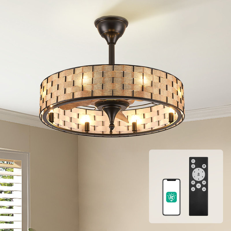 Ventilateur de plafond en cage 24 "avec lumières et ensemble d'éclairage inclus Bay Isle Home ™