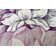 Ahn Floral Indoor Rug
