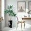 66 plantes-97700192