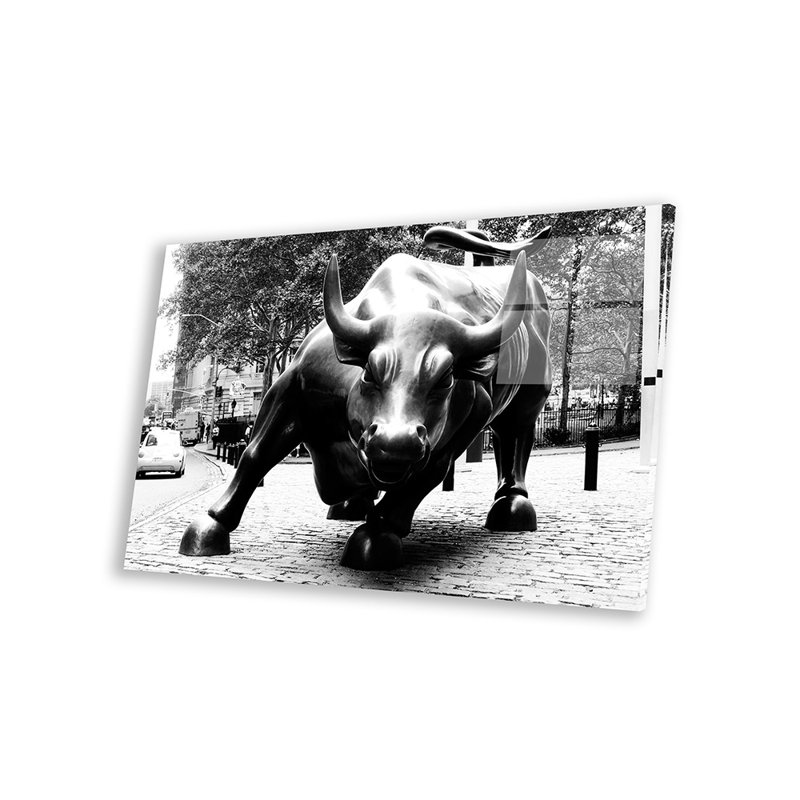 Impression sur taureau The Wall Street, Noir / blanc, H 16 po x l 24 po