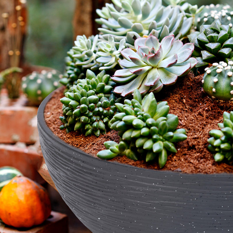 Ensemble de 2 pots à fleurs d'extérieur modernes en plastique avec fonction de drainage, Noir