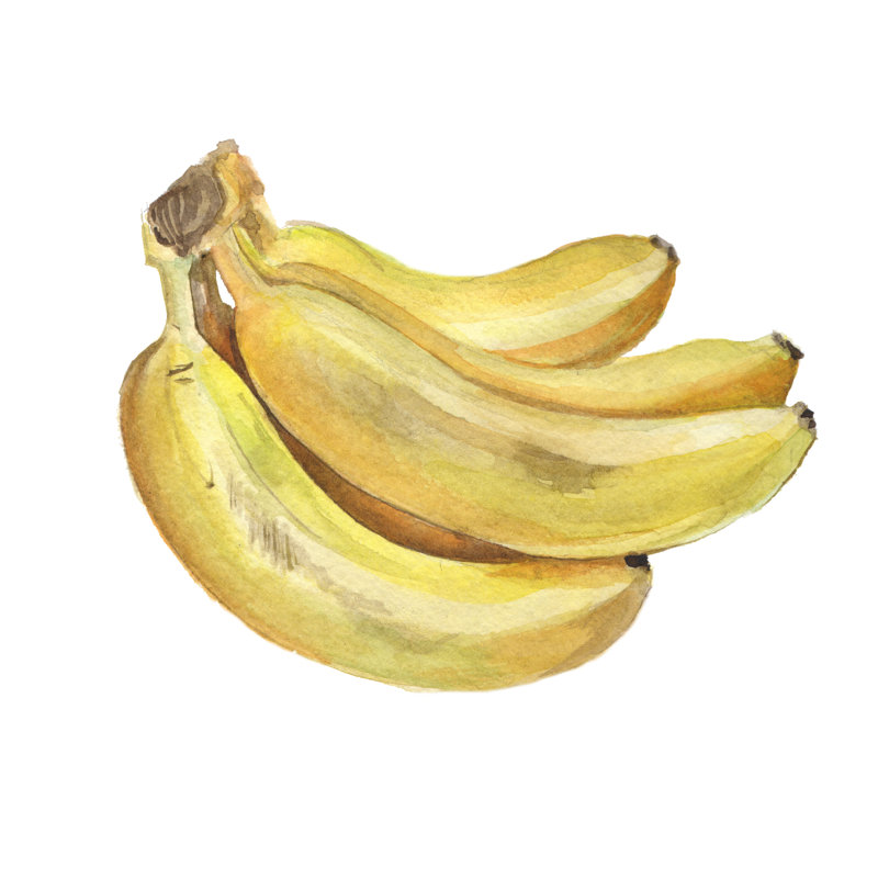 Bunch Of Bananas - Wrapped Canvas Print