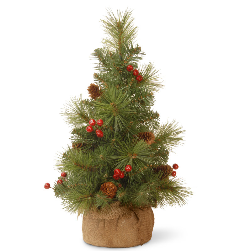 Floor Cedar Tree
