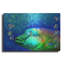 Highland Dunes «Parrot Fish» par Carol Cavalaris, art mural en métal-87562713
