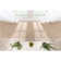  Medusa Odin Solid Color Striped Border Indoor/Outdoor Ivory Flatweave Rug