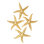 4 Piece Starfish Wall Décor Set