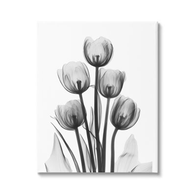 Silhouette abstraite de tulipes monochromes par Albert Koetsier - Peinture