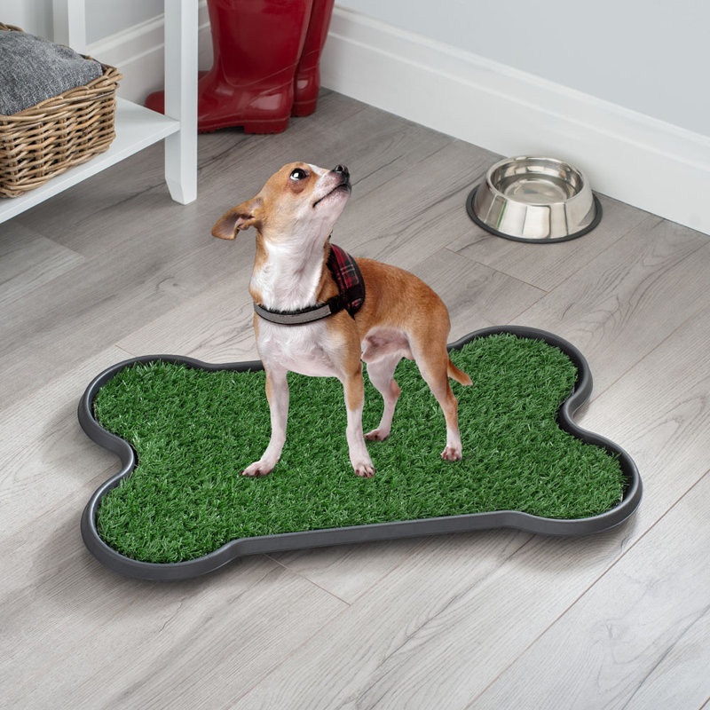 Artie Polyester Pet Bed
