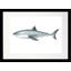 «Shark», reproduction de peinture à l'huile encadrée-24844990-24844988