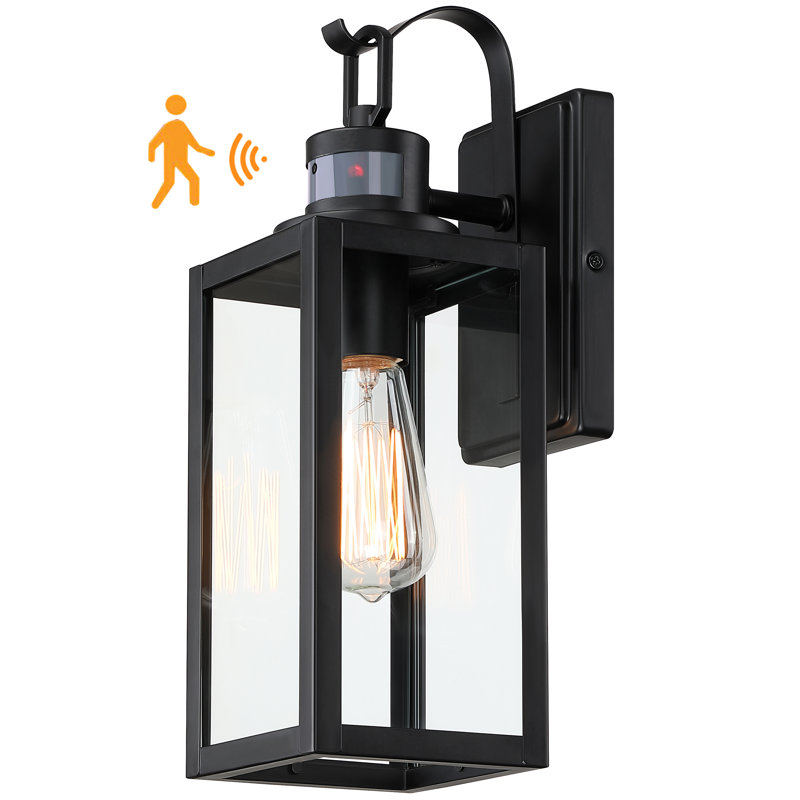 Schlesinger Motion Sensor Outdoor Wall Light