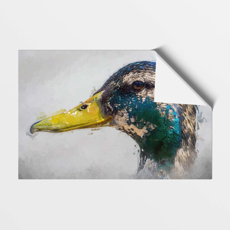 Mallard Duck Moulting - No Frame Print, 21 cm H x 29.7 cm W