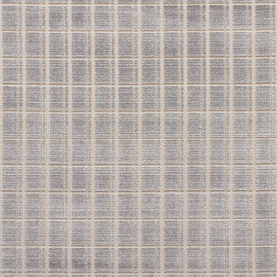 Schumacher x David Oliver Otto Velvet Fabric