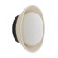 Glaze 1 - Light Flush Mounted Sconce