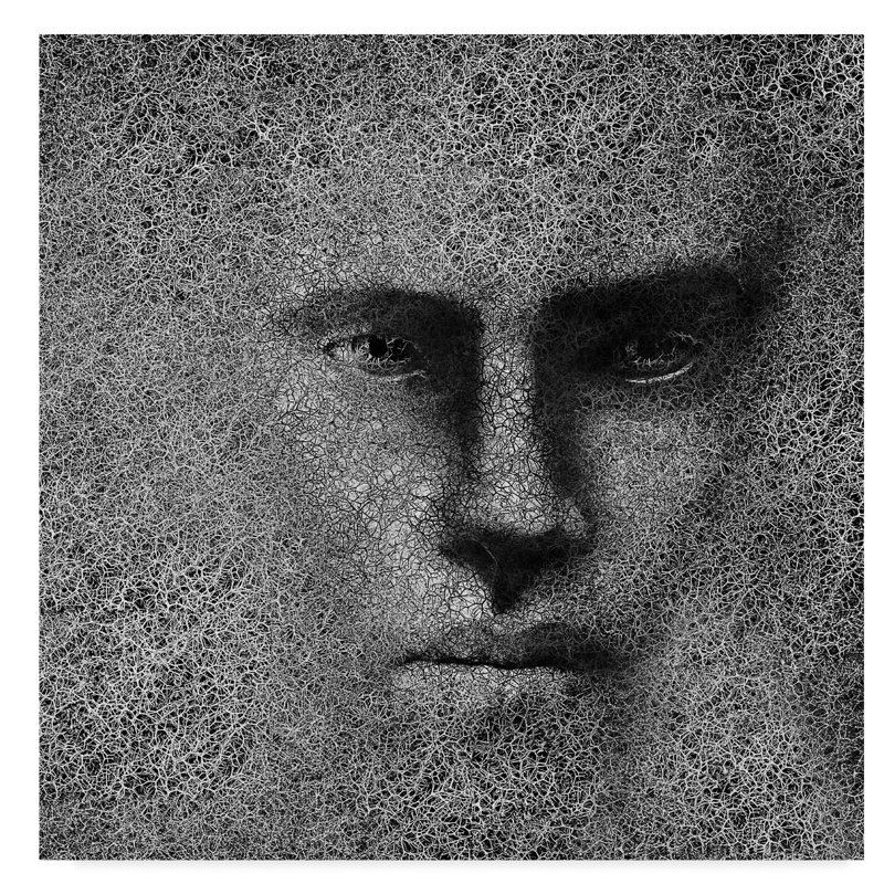 Nirupa «Metamorphose», impression sur toile tendue, H 24 po x l 24 po x P 2 po