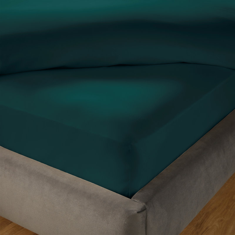 Silentnight Pure Cotton 200 TC Extra Deep Fitted Sheet, Teal, Double (4'6)
