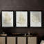 Gilded Algae IV - Toile tendue avec châssis sur mesure - 3 pièces-532067239-532067225