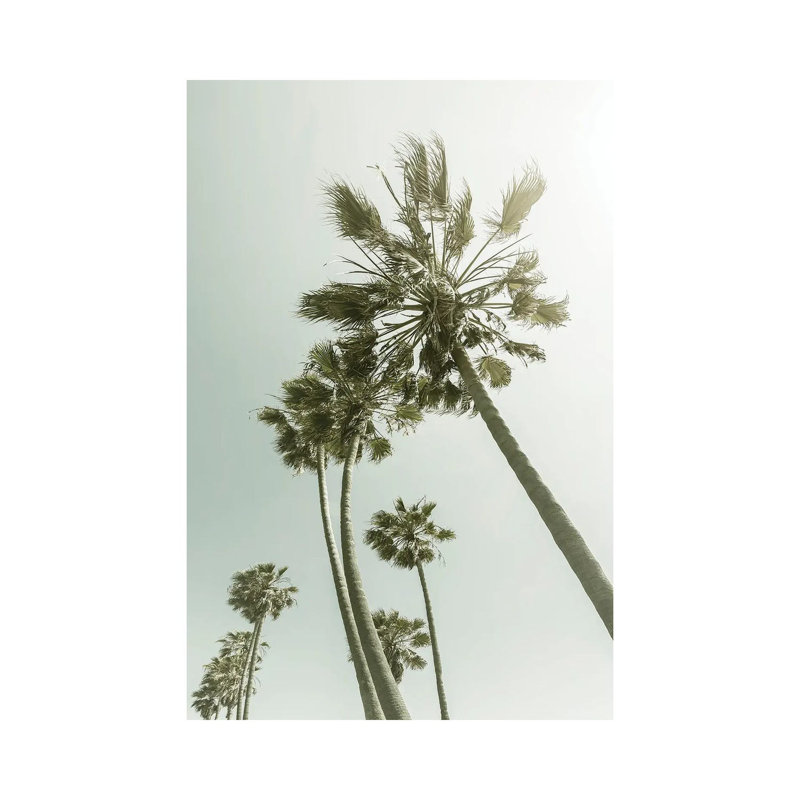 Vintage Palm Trees in the Sun 1 Piece Wrapped Canvas Wall Art, 66.04 cm H x 45.72 cm W x 1.91 cm D