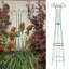 Wilmore Metal Obelisk Plant Support-369352775-369352774