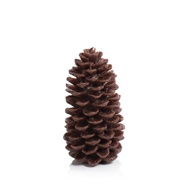 Pine Cone And Fir Balsam Scented Novelty Candle, Medium