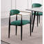 Ensemble de chaises d'appoint rembourrées 2 pièces-215524424