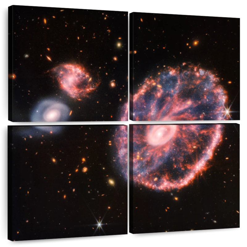 Oberle The Cartwheel Galaxy From Webb, 26" H x 26" W
