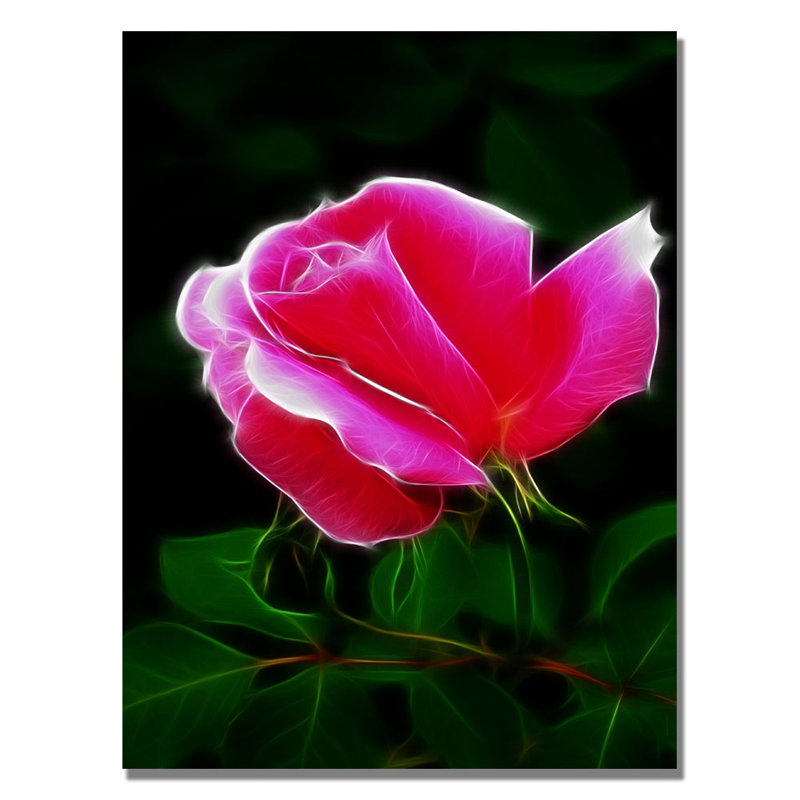 « rose rose abstract » par kathie mccurdy,, impression encadrée sur toile tendue, H 24 po x l 18 po x P 2 po