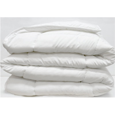 Queen All Season Polyester Down Alternative Comforter
