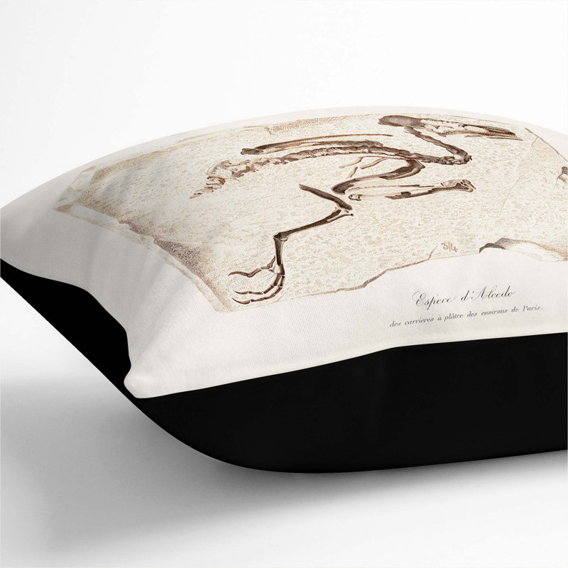 Square Throw Cushion, 40cm H x 40cm W x 15cm D, Black