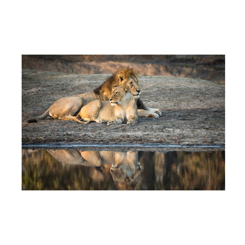 «Renee Doyle Lion Island», art sur toile, H 16 po x l 24 po