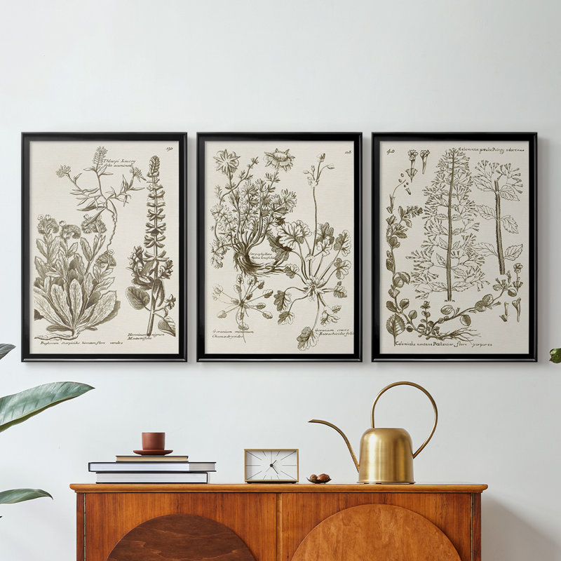 Sepia Botanical Journal IV - Toile tendue avec châssis encadré - 3 pièces, Noir, H 21 po x l 30 po