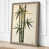 Taupe Border