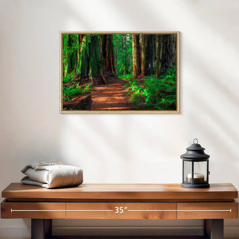Redwood Forest Path, 19 po x 13 po, Cadre flottant en bois naturel