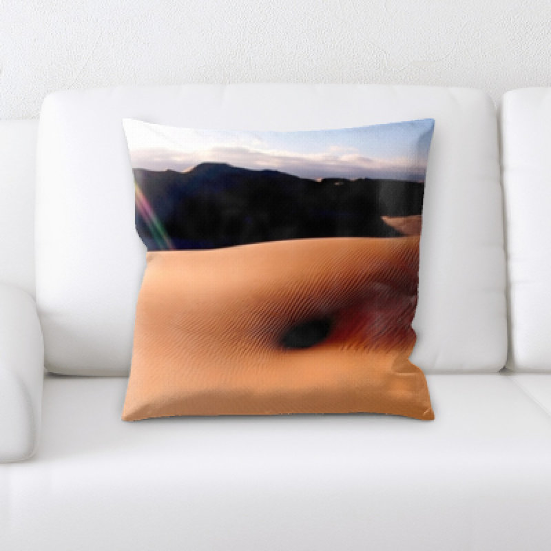 Desert Microsuede Reversible Throw Pillow