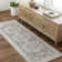 Oriental Indoor Rug