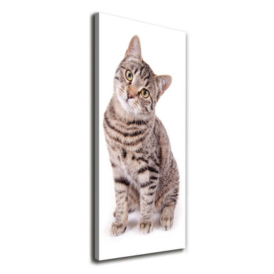 Cat - Wrapped Canvas Print