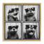 "Fun" par Loozbeh Bahramali-1658926524-1646809827