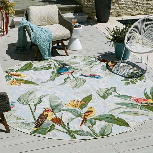 9' & 10' Round Outdoor Rugs You'll Love | Wayfair