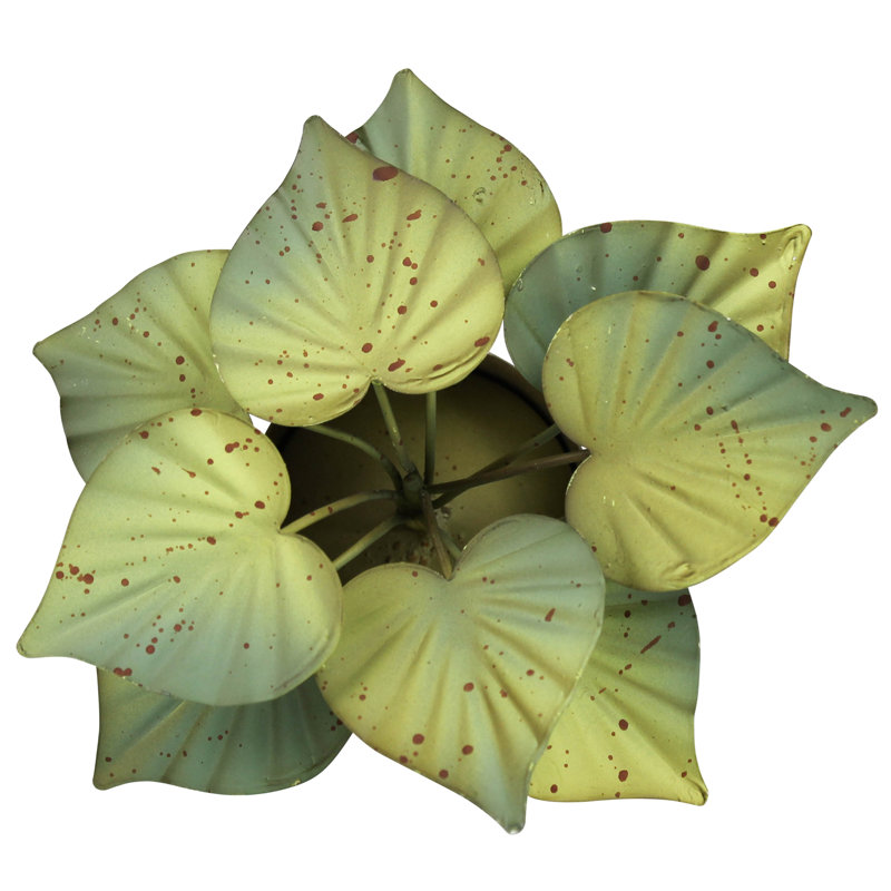 Pot avec feuilles vertes, aluminium