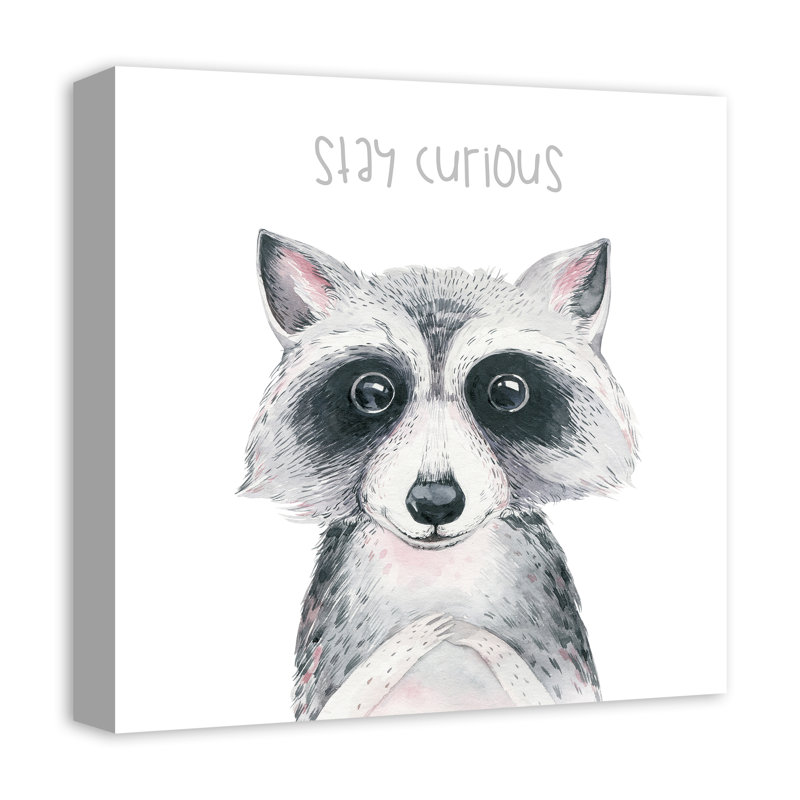 Art sur toile, raton laveur stay Curious
