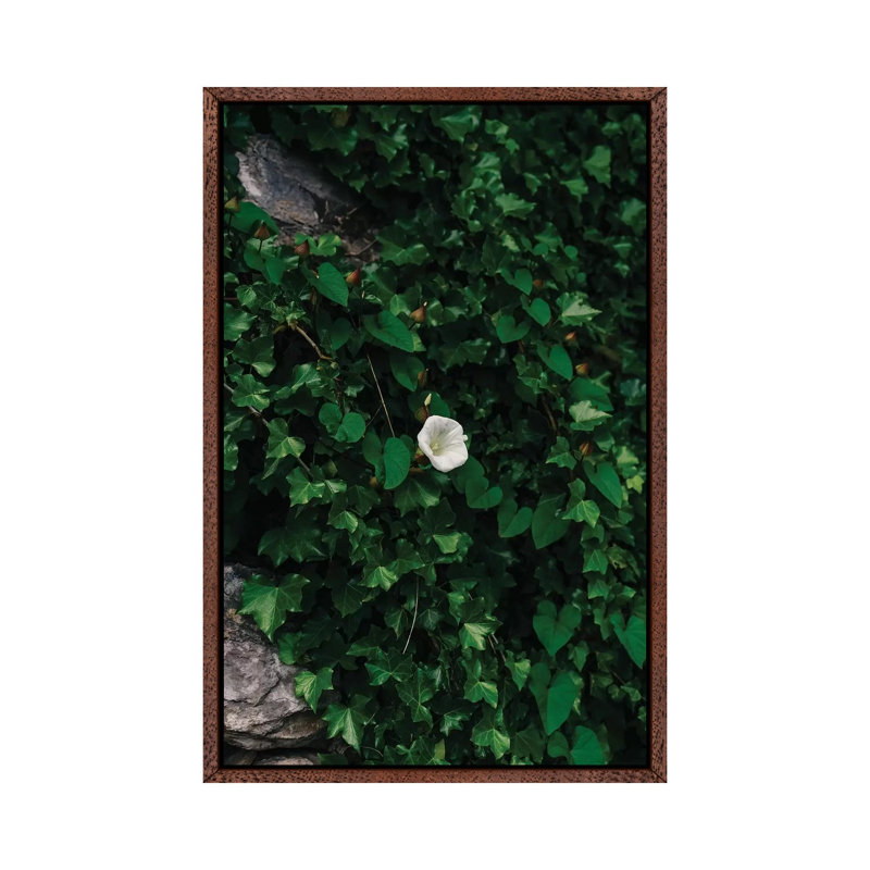 Amalfi Coast Blooms IV by Bethany Young - Print on Canvas, Classic Brown Wood Framed, 101.6cm H x 66.04cm W x 3.81cm D