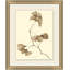 Ginkgo Print