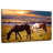 Brampt Horses On Pasture-107699208