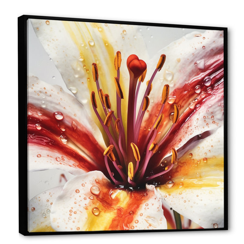Red Lily Serenade - imprimé, H 16 po x l 16 po x P 1 po, Cadre flottant noir