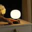 30,5 Atria-860764644