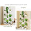 Plant Stand-1503916384